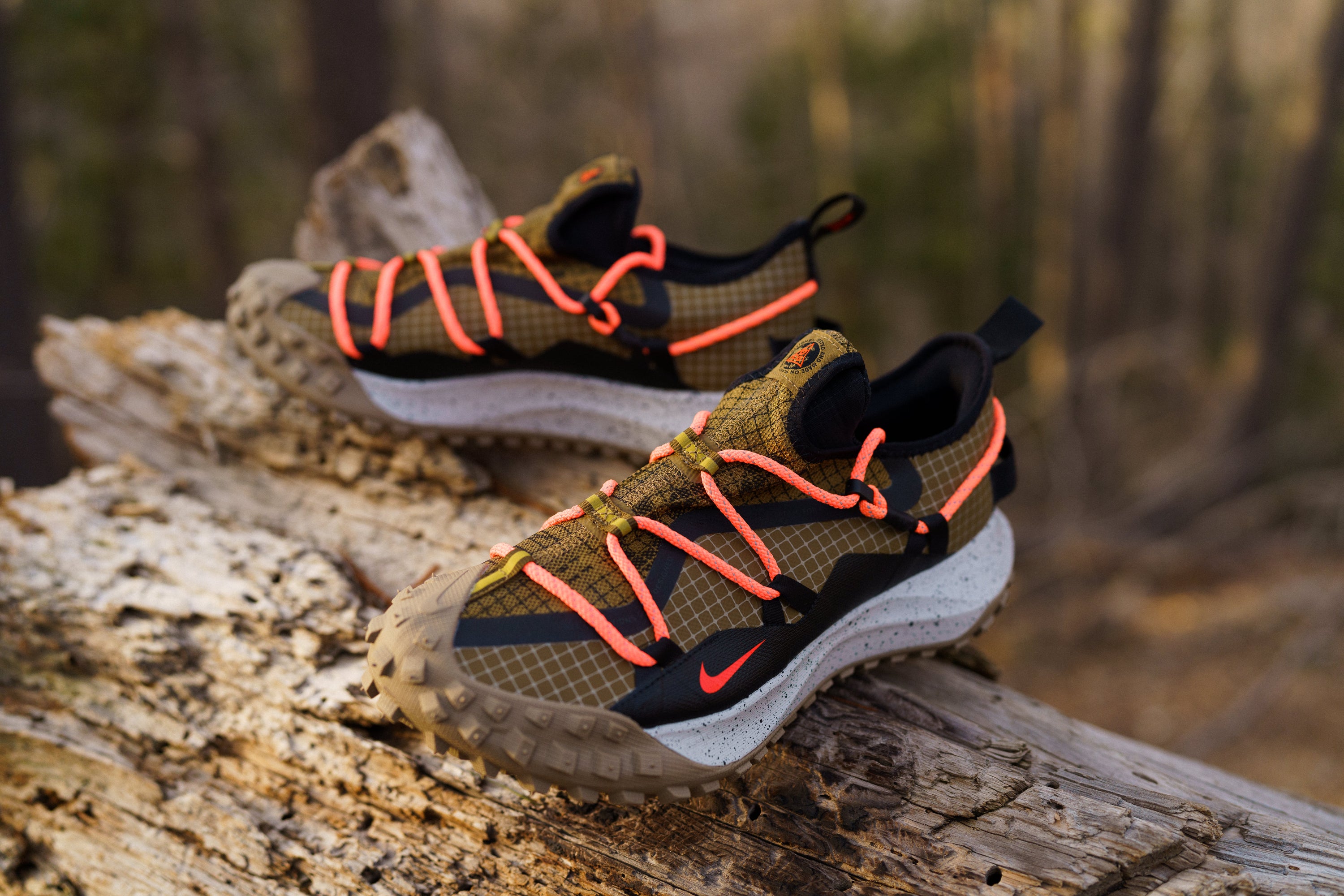 Nike ACG Mountain Fly Low GORE-TEX® 22/4/22